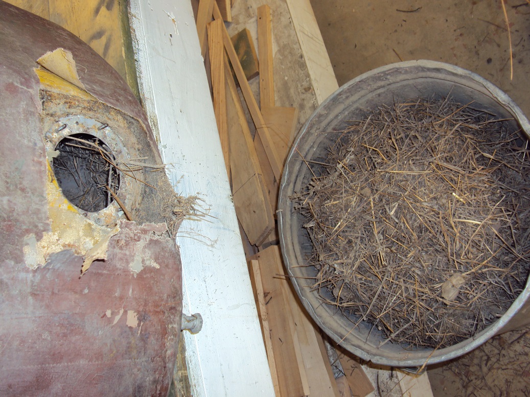 The Hurricane's fuselage fuel tank, filled with bird and mouse nest material.